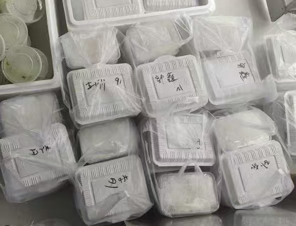 图片43.jpg